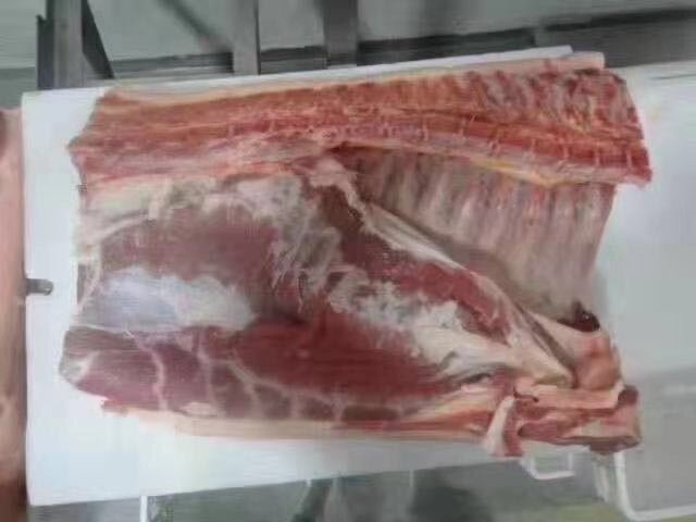 六分体猪肉