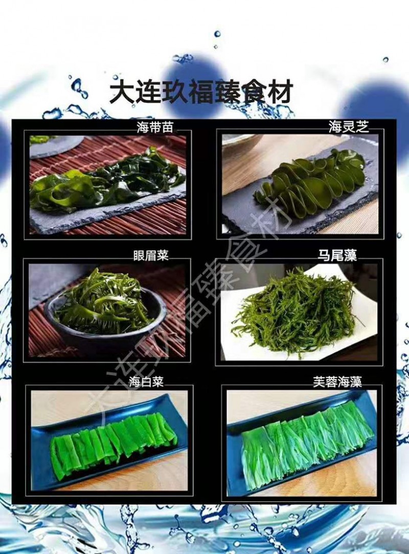 首页 供应 水产品 其他产品 火锅海藻食材    分享到  价格:1000元/吨