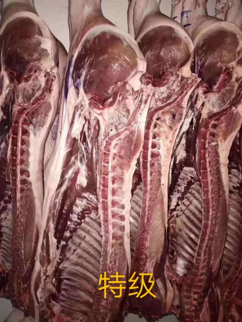 猪肉猪白条猪肉