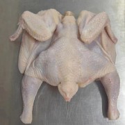 9.8公斤西装鸡